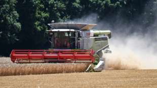 Landwirtschaftsministerin Klöckner stellt diesjährigen Erntebericht vor
