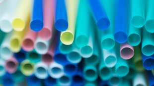 Bundeskabinett beschließt Verbot von Trinkhalmen und Wattestäbchen aus Plastik
