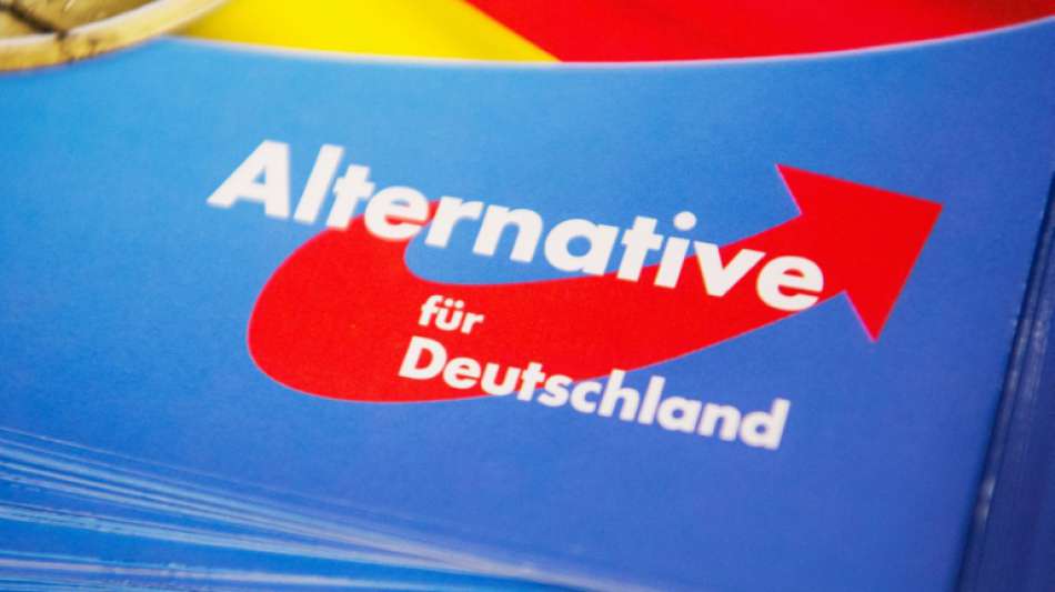 AfD startet in Offenburg ihren Europawahlkampf