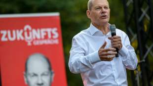 Von der Mehrwertsteuersenkung &uuml;bers Rentenalter bis zur Demokratief&ouml;rderung