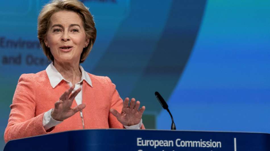 Von der Leyen will in EU-Kommission Klima und Digitales zur Priorität machen
