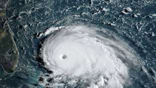 Mindestens fünf Tote durch Hurrikan "Dorian" auf den Bahamas