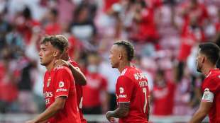 Waldschmidt wechselt von Benfica nach Wolfsburg