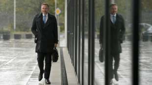FDP-Chef Lindner glaubt an Regierungsbildung bis Anfang Dezember