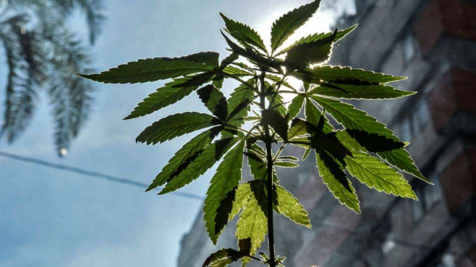 Polizei zerschlägt norddeutsch-spanischen Drogenring