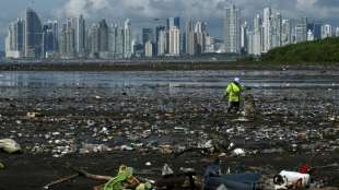 Weltweite Plastikproduktion im Corona-Jahr 2020 gesunken