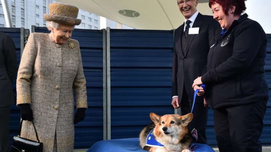 Zeitung: Die Queen hat neue vierbeinige Gesellschaft
