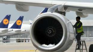 Umweltschützer fordern starke Rolle des Staats bei möglicher Lufthansa-Rettung