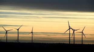 DIHK beklagt "Schneckentempo" beim Ausbau der Windenergie 