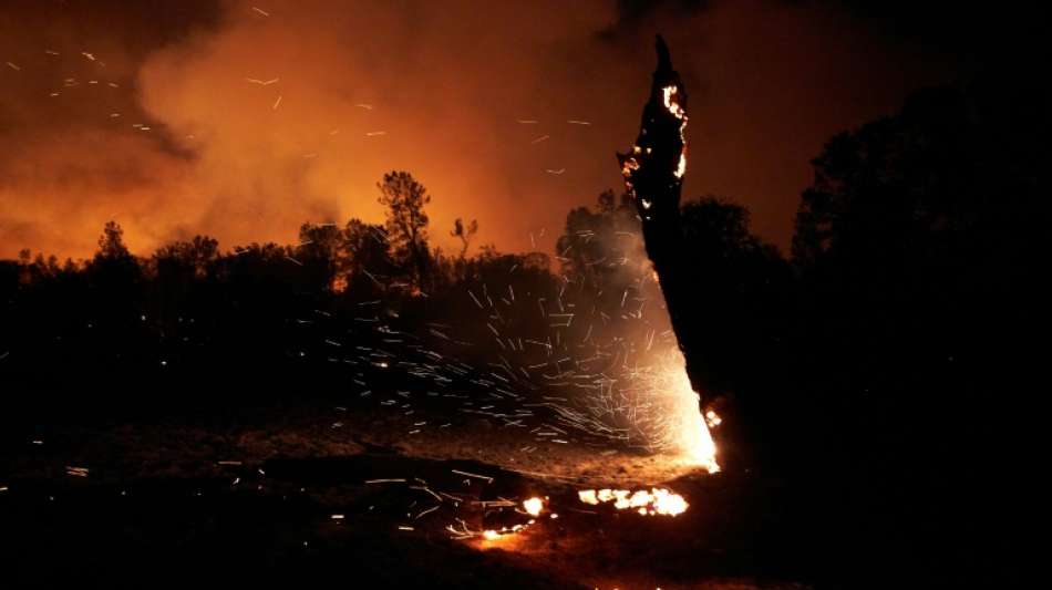 US-Stromversorger ein Jahr nach "Zogg Fire" des Totschlags beschuldigt