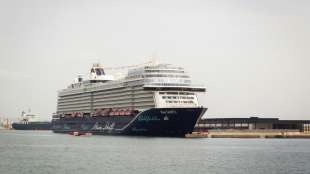 Zahl der Passagiere auf Kreuzfahrtschiffen 2020 massiv eingebrochen