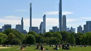 New York plant Gro&szlig;konzert im Central Park zur "Wiedergeburt" nach Corona-Krise