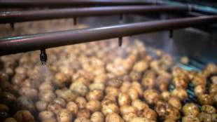 Chipshersteller rechnen mit schlechter Kartoffelernte - Preise könnten steigen