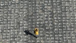 Tschechien gedenkt mit Glockengeläut und tausenden Kreuzen seiner Corona-Toten