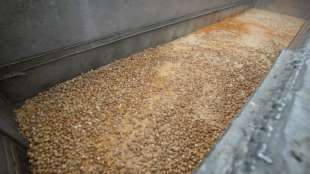 Haftstrafe im Prozess in Belgien um Fipronil-Skandal verhängt