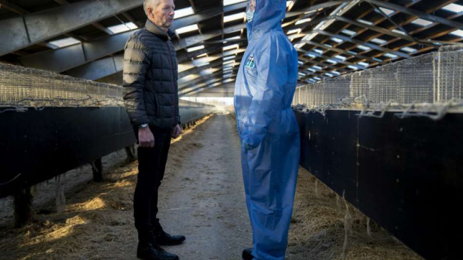 Dänemark will Nerz-Züchter mit Milliardenzahlungen entschädigen