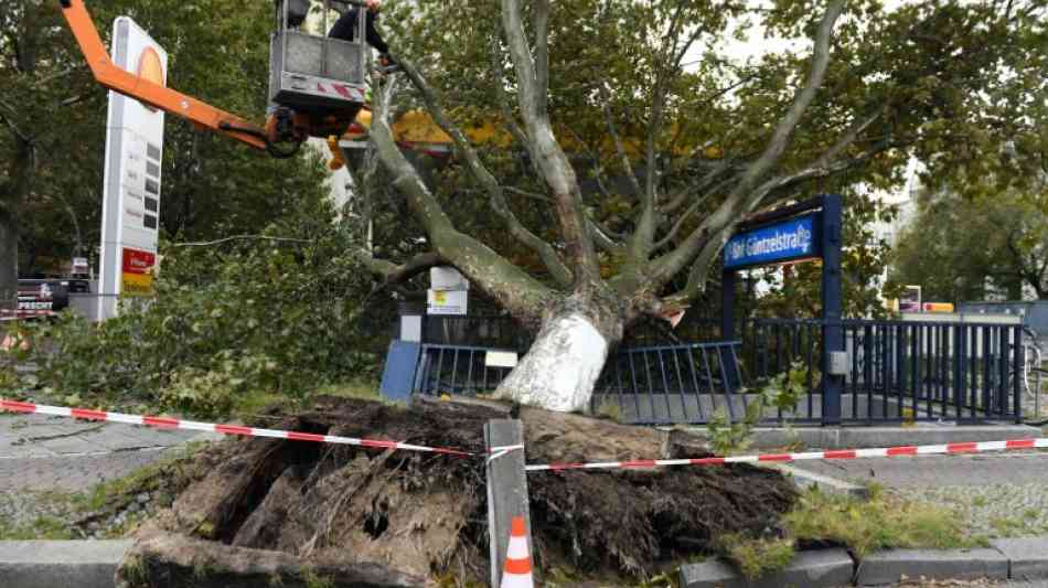 Klimaforscher Latif: Sturm
