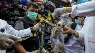 Indonesische Behörden schicken 210 Tonnen Müll zurück nach Australien