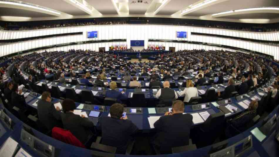 Europaparlament verlangt strengere Regeln f