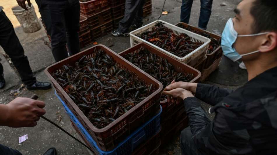 Coronavirus-Experte legt Indizien für Ursprung von Coronavirus auf Tiermarkt vor