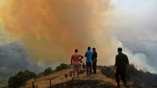 Mehrzahl der Waldbr&auml;nde in Algerien unter Kontrolle