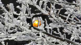 Frostiger April lässt Heizkosten steigen