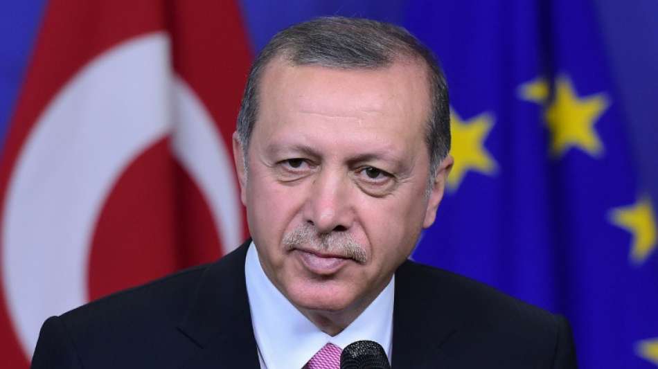 EGMR fordert &Auml;nderung von t&uuml;rkischem Gesetz zum Schutz des Ansehens des Pr&auml;sidenten