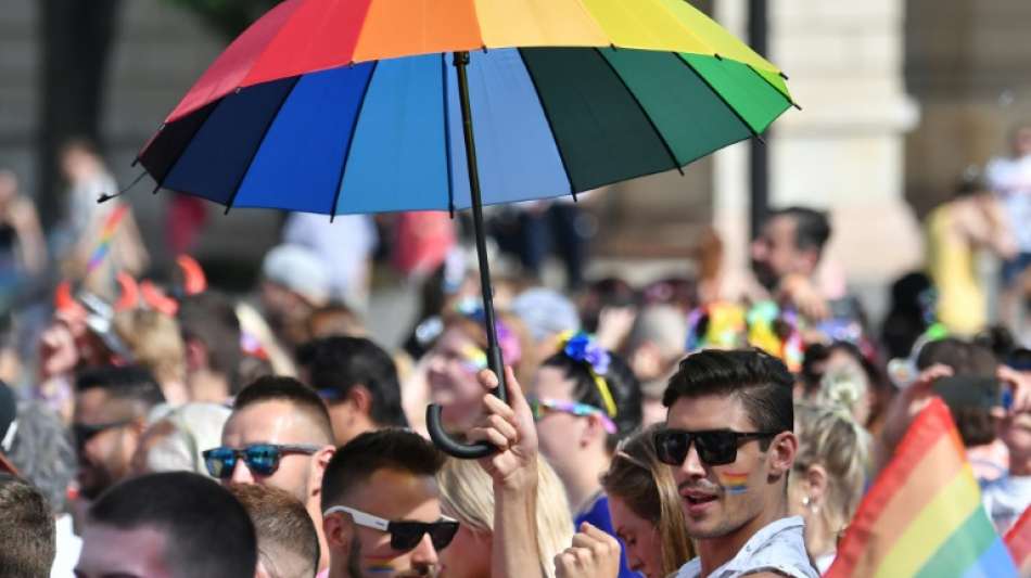 Ungarns Regierungspartei will "Werbung" f&uuml;r Homosexualit&auml;t verbieten