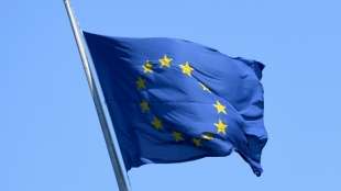 Studie: EU-Wahlprogramme sind für Laien oft unverständlich