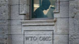 WTO kann sich nicht auf Interims-Nachfolger für Chef Azevedo einigen