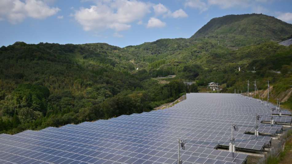 Japanische Konzerne fordern Regierung zu ehrgeizigerer Energiewende auf