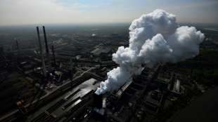 DIHK fordert bundesweit einheitlichen Öffnungsplan für die Wirtschaft