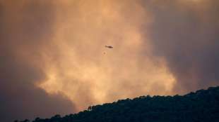 Waldbrand in S&uuml;dspanien breitet sich weiter aus