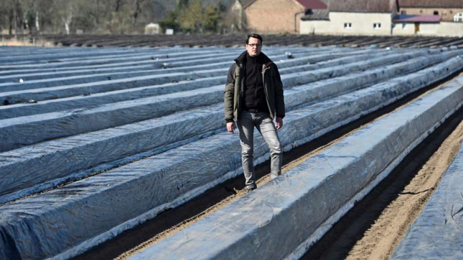 Klöckner dringt auf Einsatzmöglichkeiten für Asylbewerber in der Landwirtschaft