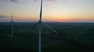 Verfassungsbeschwerden gegen Klimaschutzgesetz teilweise erfolgreich