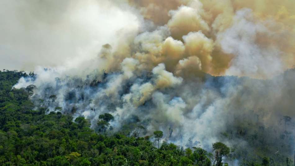 Schlimmster Juni für Brasiliens Amazonaswälder durch Brände seit 2007