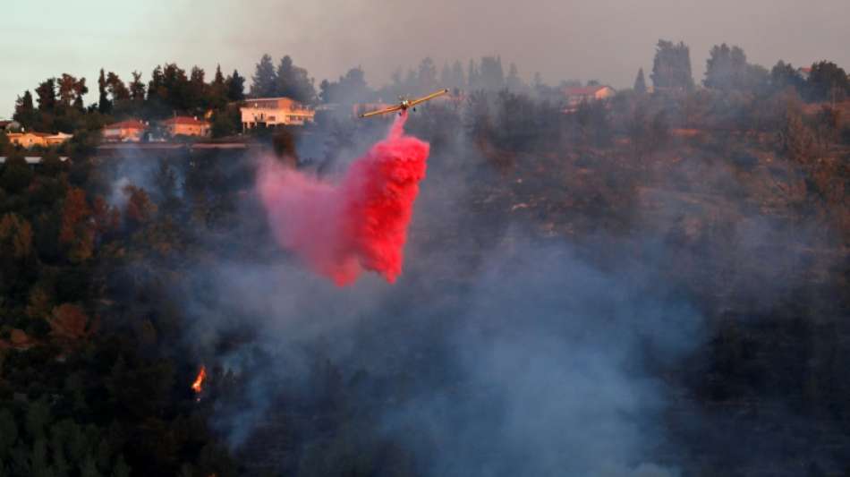 Israel bittet wegen Waldbrands nahe Jerusalem Ausland um Hilfe