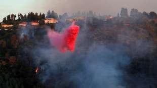 Israel bittet wegen Waldbrands nahe Jerusalem Ausland um Hilfe