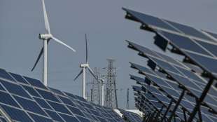 Energieagentur: Erneuerbare Energien werden 2025 mehr Strom liefern als Kohle