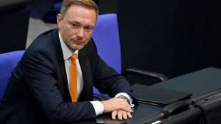 FDP will auf Parteitag Wahlaufruf beschlie&szlig;en