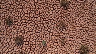 Studie: D&uuml;rregefahr auf Nordhalbkugel der Erde nimmt wegen Klimawandel stark zu 