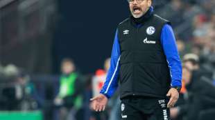 Keine Sperre für Schalke-Trainer Wagner: "Interpretationsirrtum des Schiedsrichters"