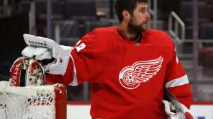 Kurzer Abend f&uuml;r Greiss: Red Wings gehen unter