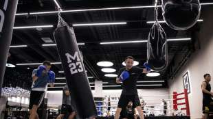 AIBA will Box-Akademie in Deutschland bauen