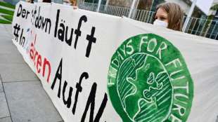 Fridays for Future demonstiert in rund 30 St&auml;dten f&uuml;r mehr Klimaschutz