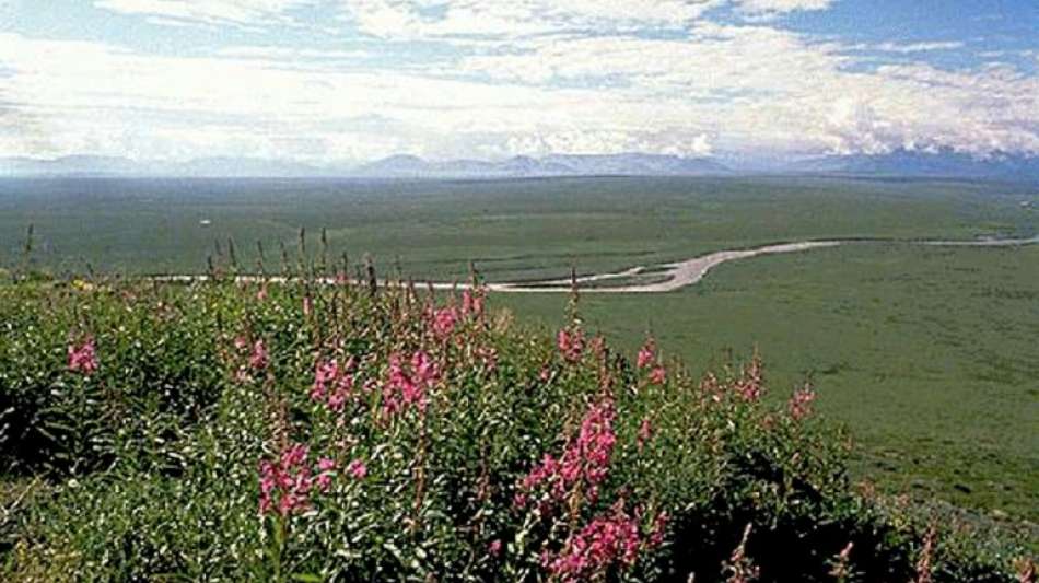 US-Regierung suspendiert Ölförder-Aktivitäten in Naturschutzgebiet in Alaska