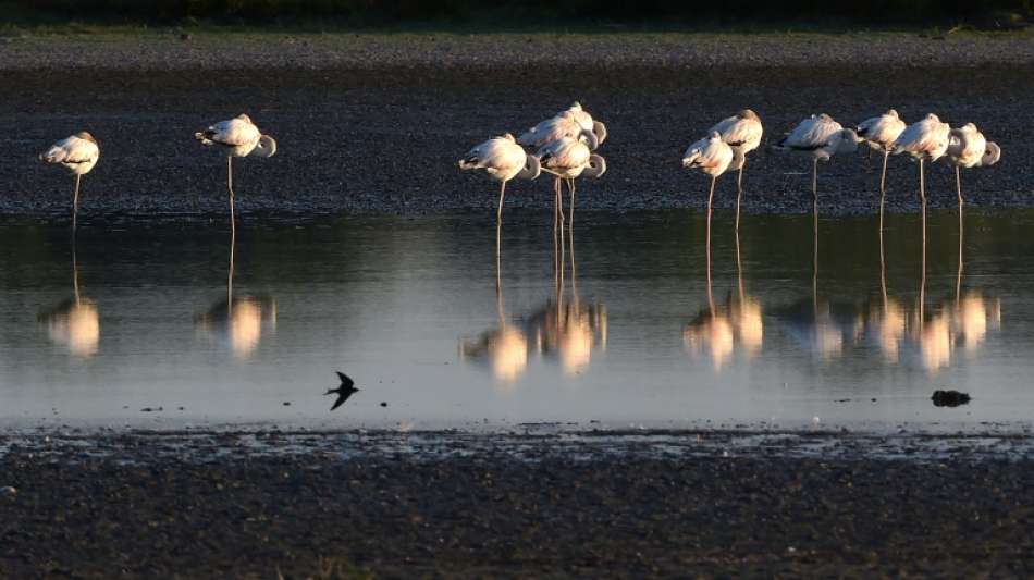 UN-Artenschutzentwurf: Mindestens 30 Prozent der Welt sollen Schutzgebiet werden