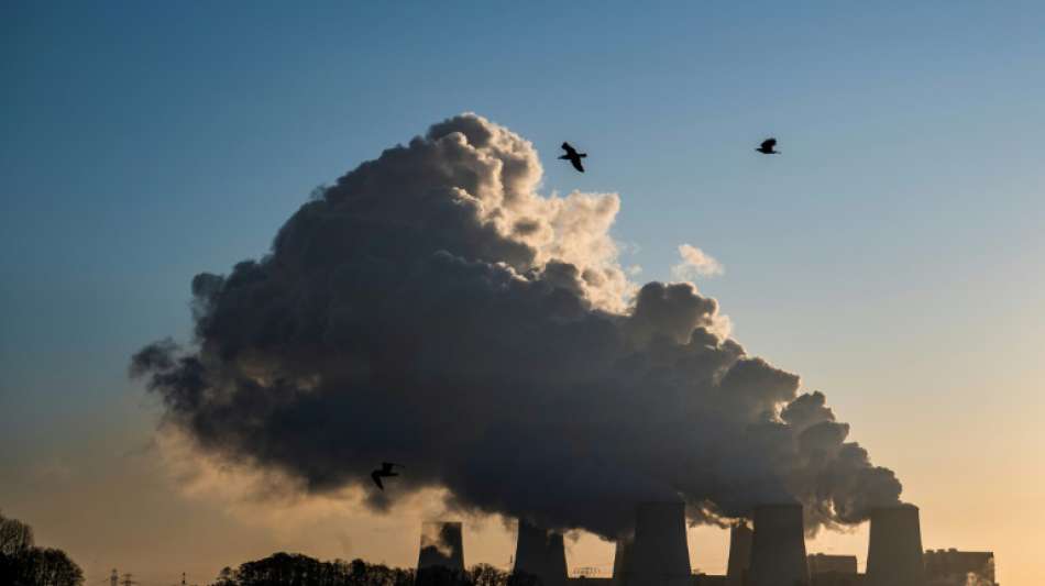 Energie-Forscherin hält Kohlekonzerne für Gewinner beim Kohleausstiegs-Gesetz