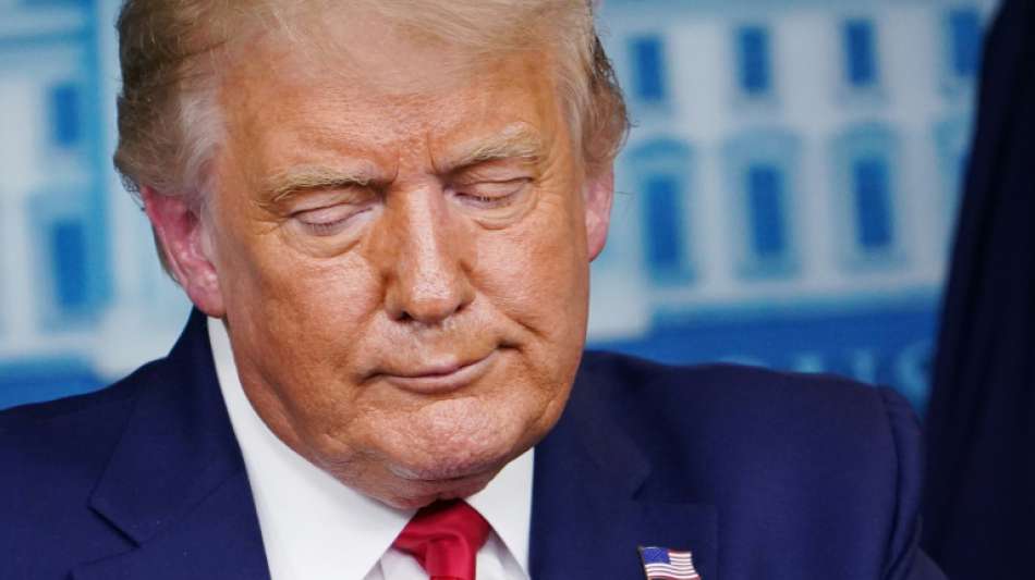 Impeachment-Ankläger werfen Trump "Verrat von historischem Ausmaß" vor