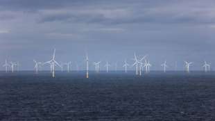 Bundesbeh&ouml;rde plant mehr Fl&auml;chen f&uuml;r Windenergie auf See